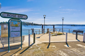 Rosebay