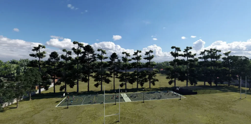 Netball and basketball court concept