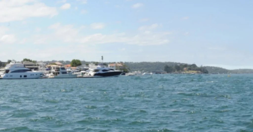 Rose Bay Marina