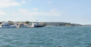 Rose Bay Marina
