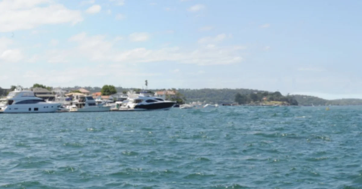 Rose Bay Marina